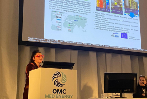 CaLby2030 at the OMC conference
